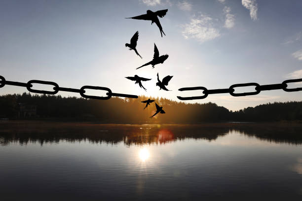 istockphoto-1342479272-612×612